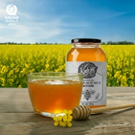 সরিষা ফুলের মধু | কুদরাতি প্রিমিয়াম মাস্টার্ড ফ্লাওয়ার হানি